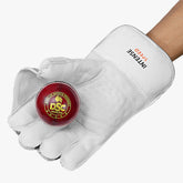 DSC Intense Speed Wicket Keeping Gloves (Mens)